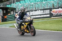 Advanced Group Yellow Bikes